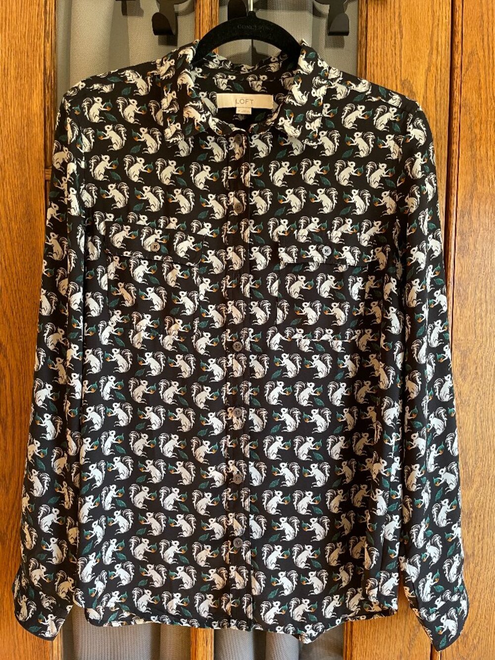 Loft Squirrel Button Up Blouse M